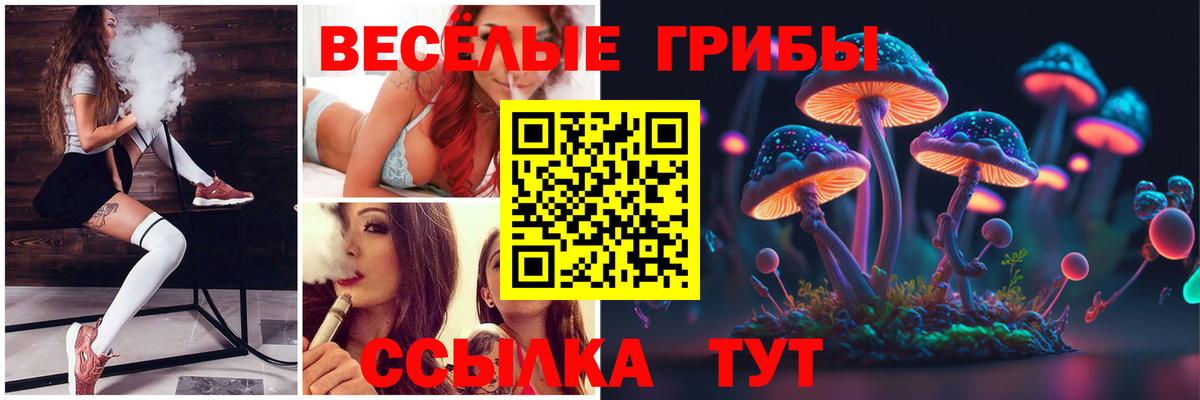 Псилоцибиновые грибы Psilocybe  Вход с VPN  Щёкино 