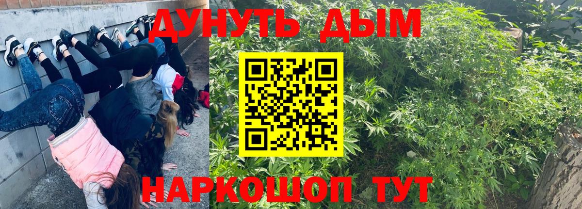 Канабис конопля  Канабис план  Вход с VPN  Бошки Шишки MAZAR  Щёкино 